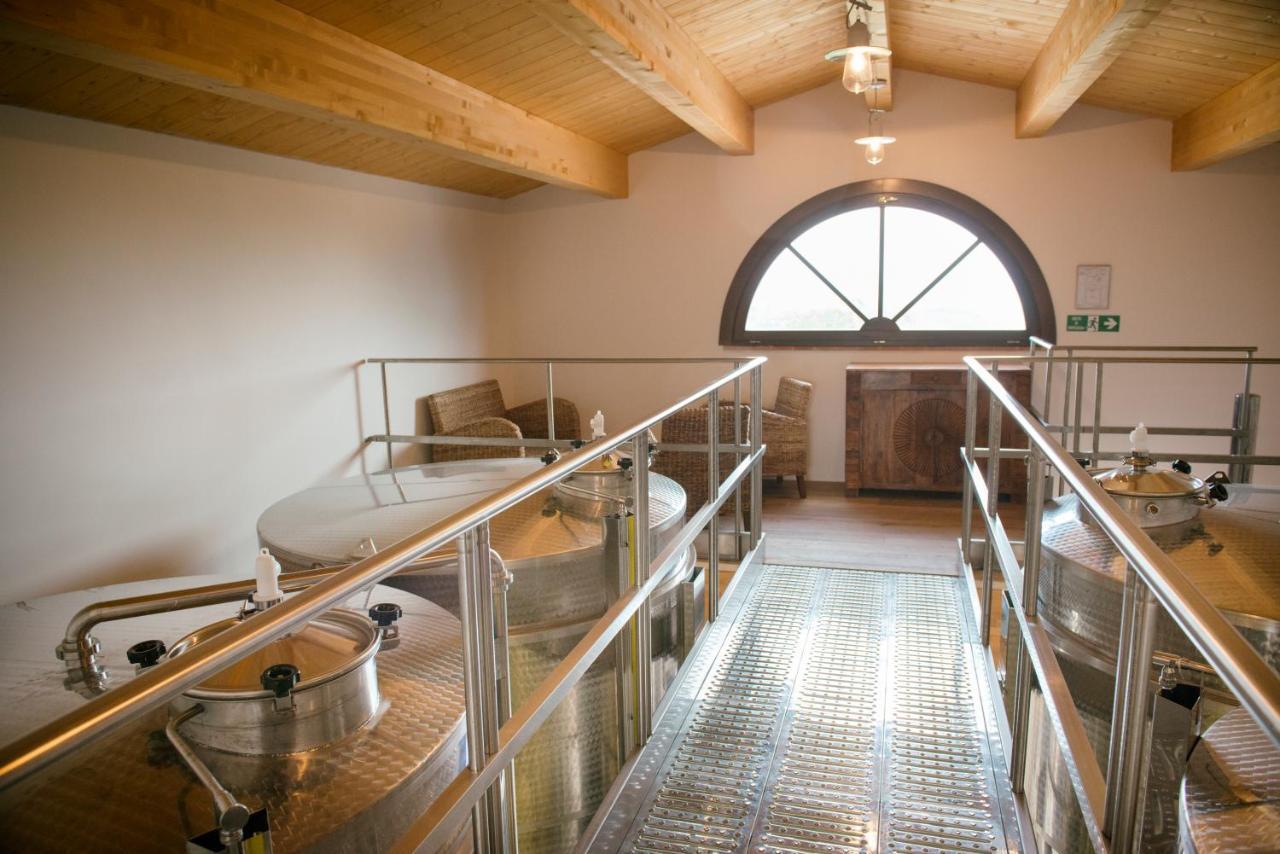 Agriturismo Fattoria Di Monticello 新维南佐 外观 照片