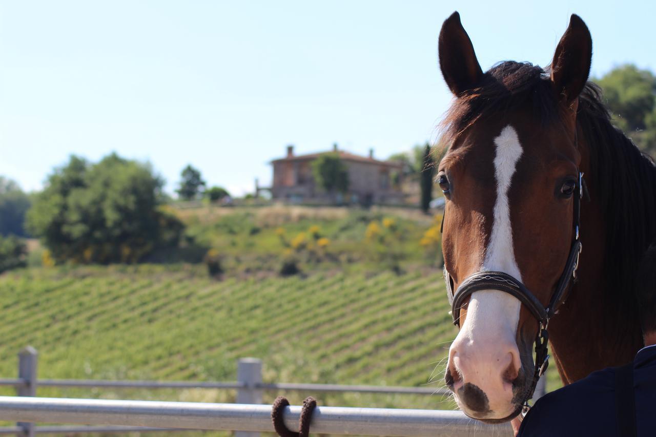 Agriturismo Fattoria Di Monticello 新维南佐 外观 照片