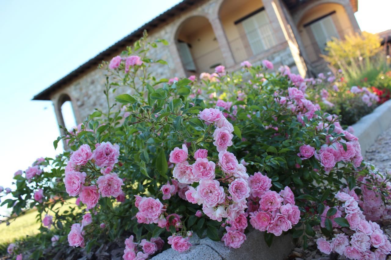 Agriturismo Fattoria Di Monticello 新维南佐 外观 照片