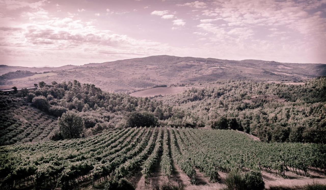 Agriturismo Fattoria Di Monticello 新维南佐 外观 照片